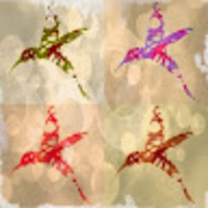 Meet your Posher, Bailey